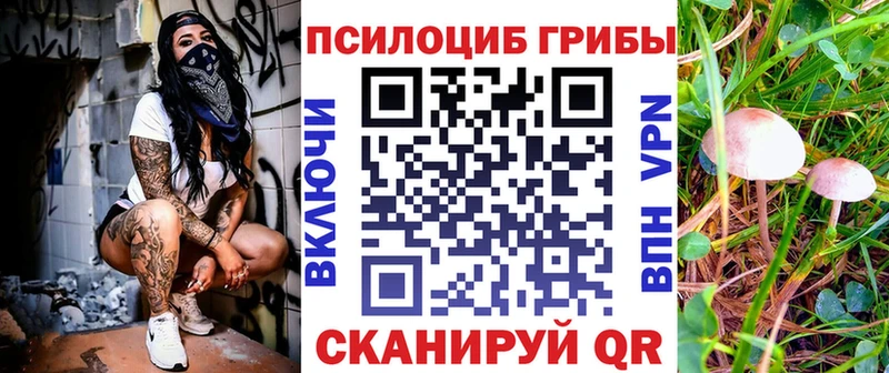 Псилоцибиновые грибы Cubensis  как найти   Лодейное Поле 